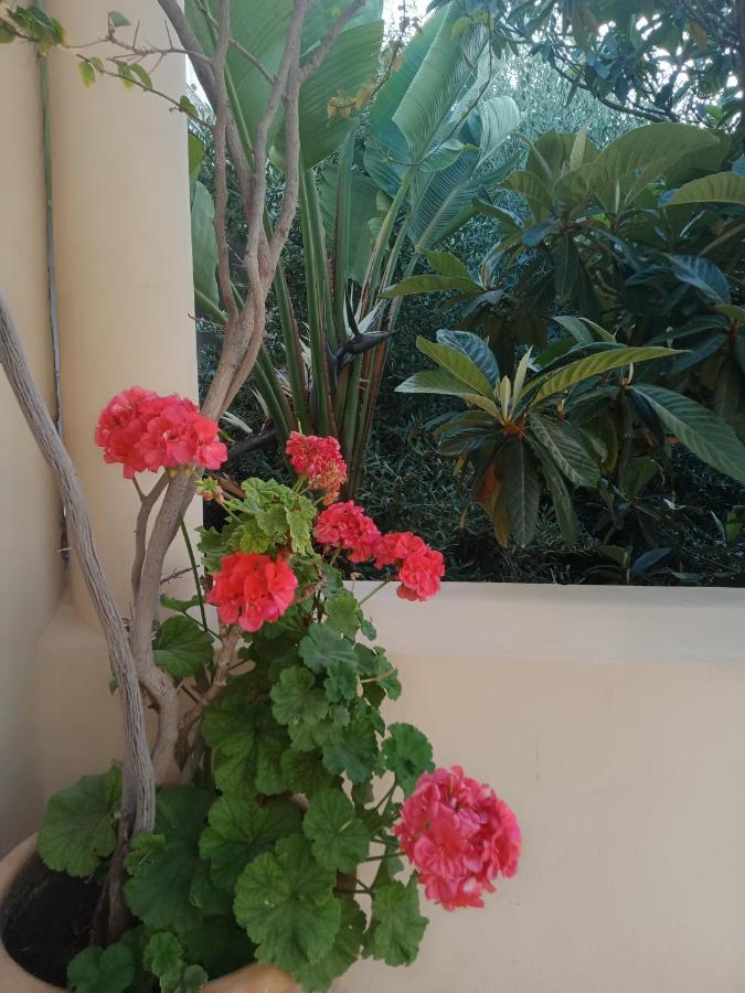 Riad Sahara Nour Marraquexe Exterior foto
